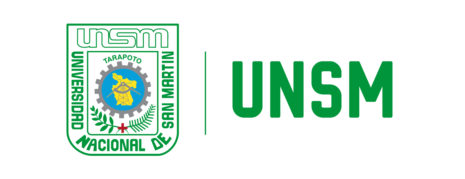 Universidad Nacional de San Martín